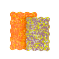 Set of 2