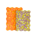 Set of 2